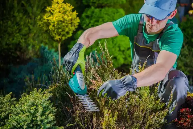 landscaping services Gladstone
